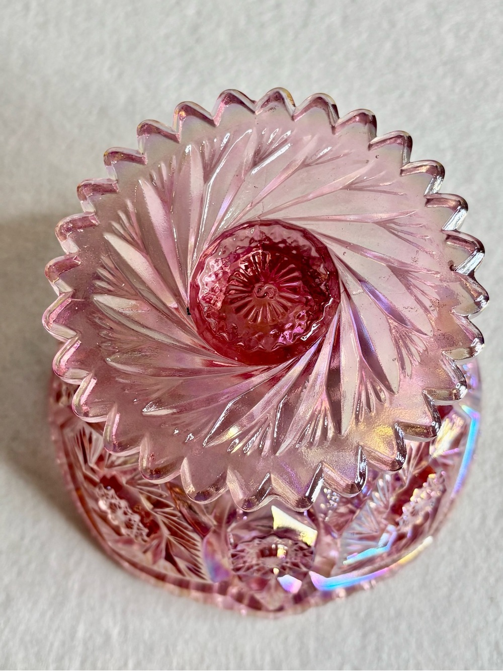 LE Smith Woodrose Buzz Star Compote - Picture 2 of 5